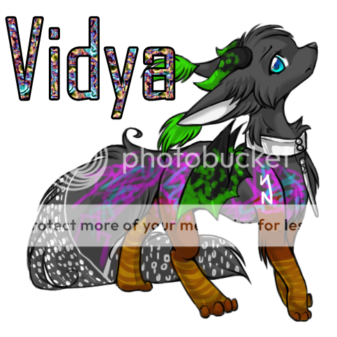 User Image